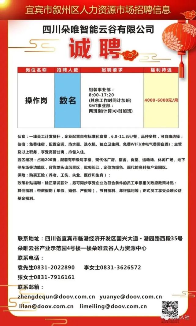 嘎娄最新招聘信息深度解析与探讨