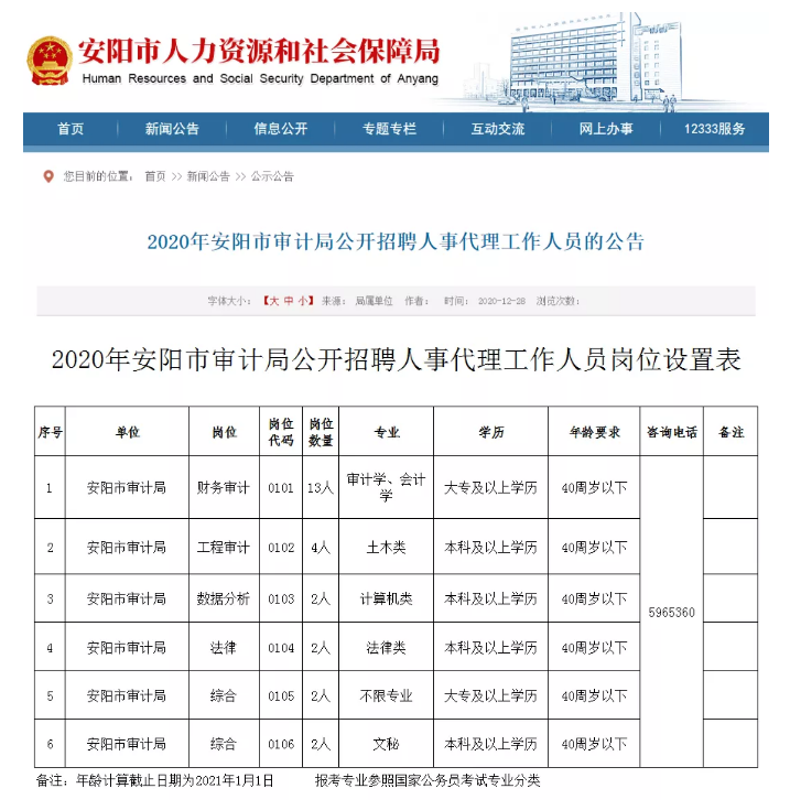 龙凤区审计局招聘信息全面解析