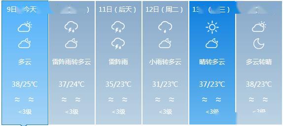 2024年12月13日 第20页