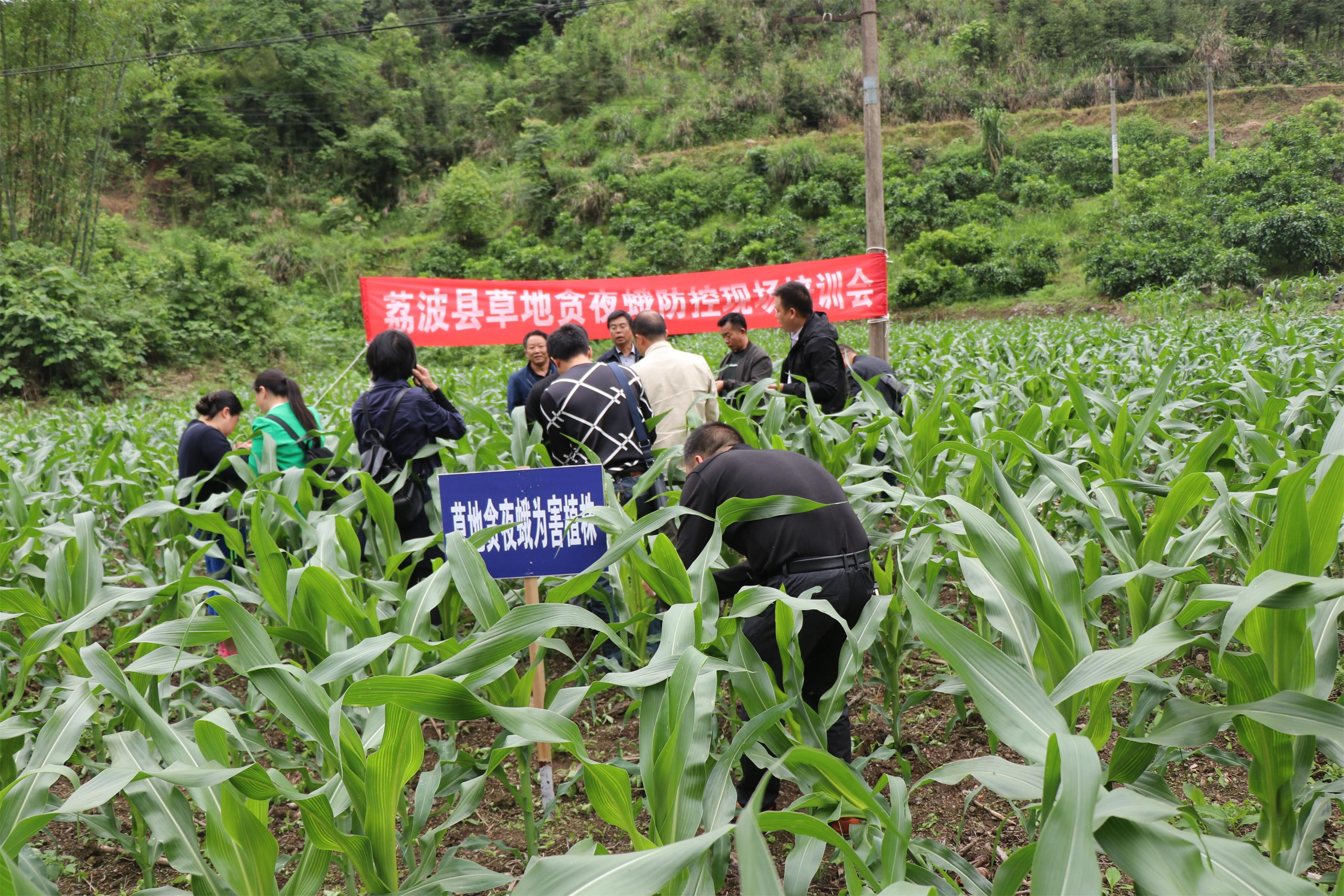 荔波县农业农村局新项目推动农业现代化，乡村振兴再添动力