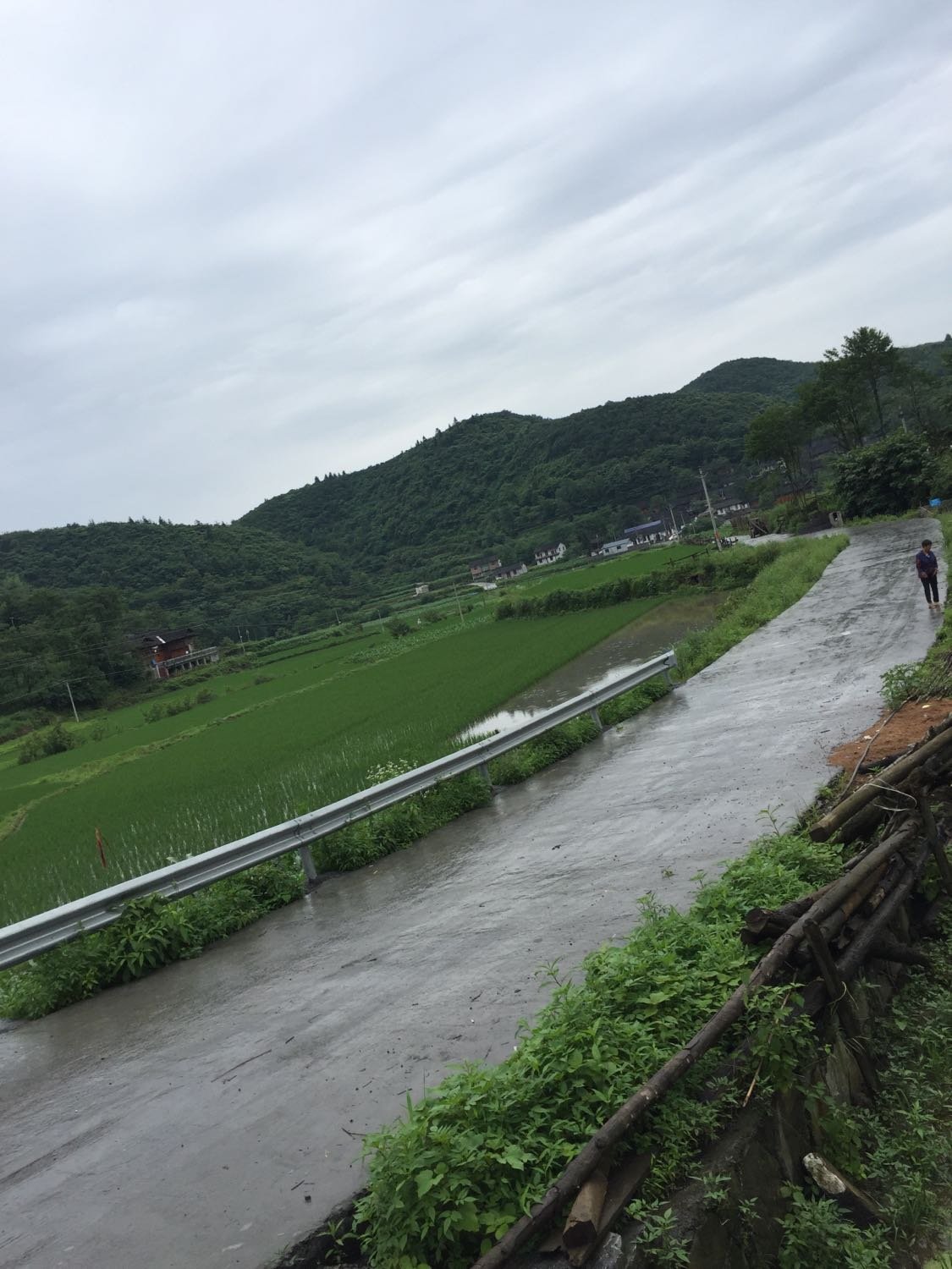 苜蓿榃村委会最新天气预报