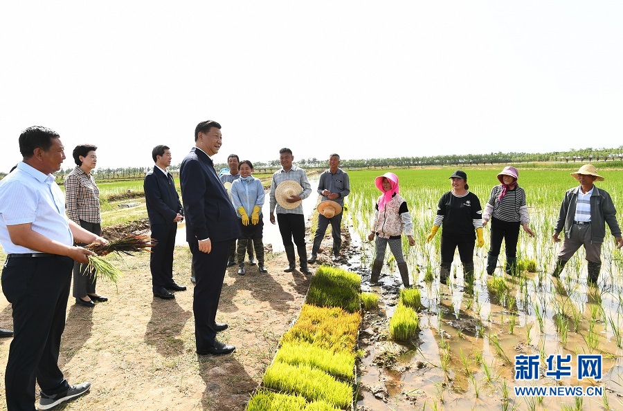 巩家山村民委员会最新项目，振兴乡村，共创美好未来