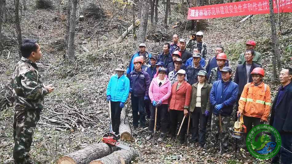 宝马山林场绿色发展前沿与生态建设创新实践最新报道