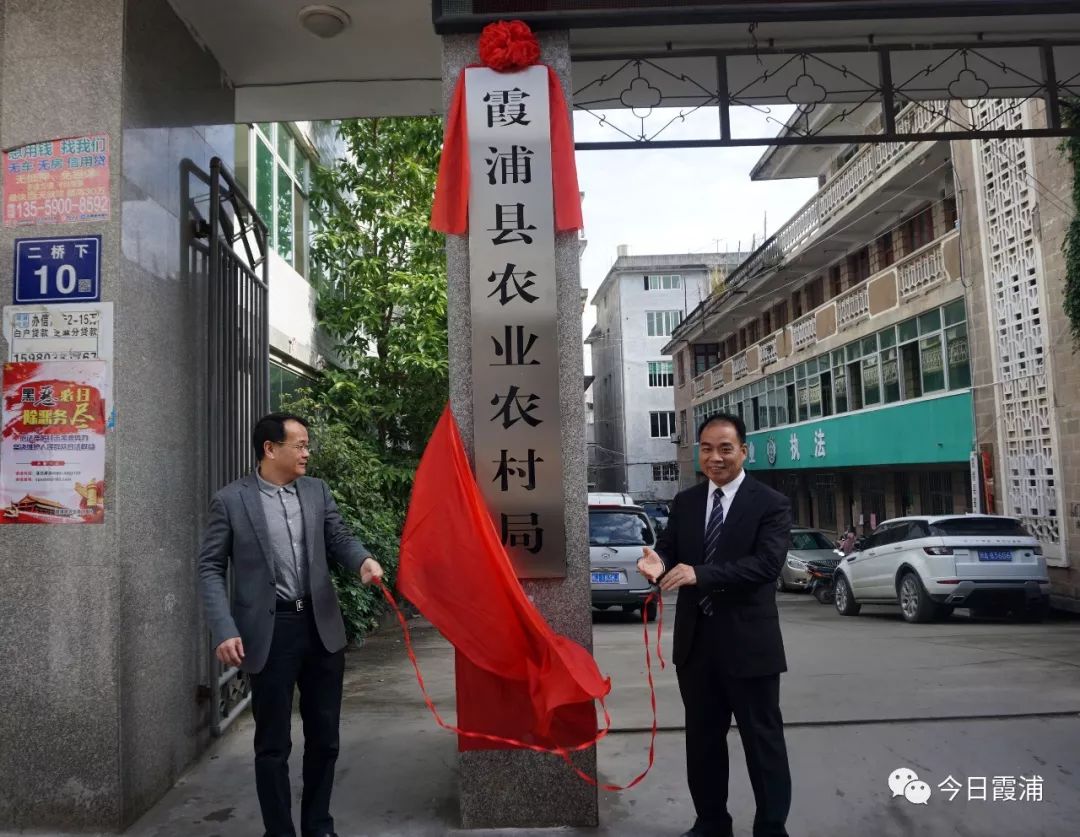 凌云县发展和改革局最新项目动态