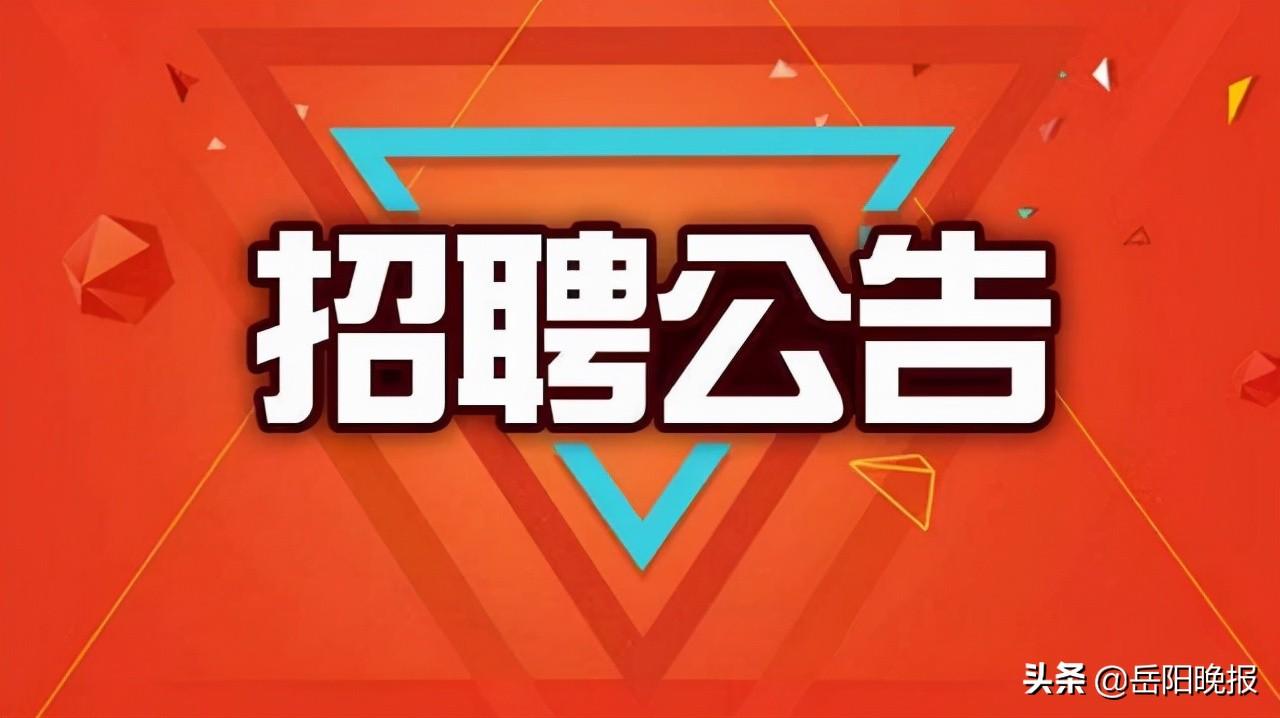 岳阳市食品药品监督管理局最新招聘信息概览