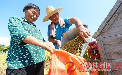 炎陵县农业农村局最新项目，推动农业现代化，助力乡村振兴